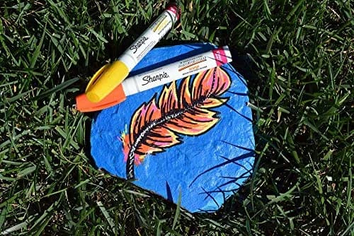 Sharpie Oil-Based Paint Markers, Medium Point, Assorted Colors, 8 Count | Permanent, Waterproof, Fade-Resistant thumbnail 4