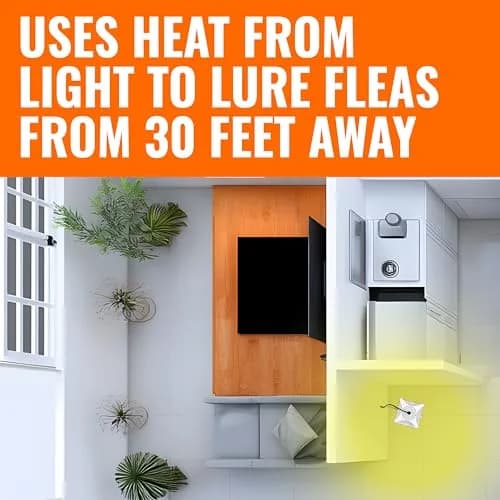 Terro Indoor Electric Flea Trap and Killer, Refillable Plug-in Bug Trap | Detect & Control Fleas Indoors thumbnail 4