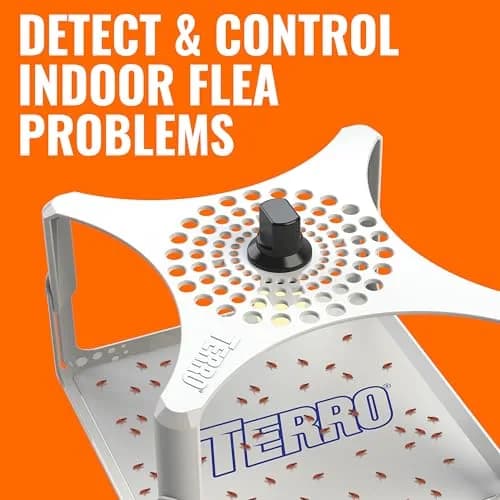 Terro Indoor Electric Flea Trap and Killer, Refillable Plug-in Bug Trap | Detect & Control Fleas Indoors thumbnail 2