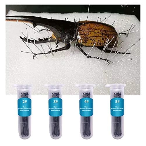 Fpxnb Stainless Steel Insect Pins 350 Pcs (40mm Length, 0.27-0.71mm Diameter) | Entomology Specimen Needles thumbnail 7