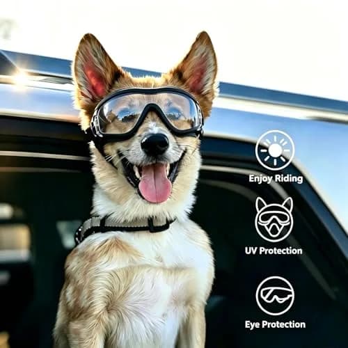 NAMSAN Clear Dog Goggles for Medium to Large Dogs | UV Protection Driving Glasses with Adjustable Straps thumbnail 7