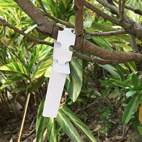 MIHEY White Plastic Plant Tags with Marker Pen, 20cm (7.87 inch) - 200 Pcs | Durable & UV Resistant thumbnail 4