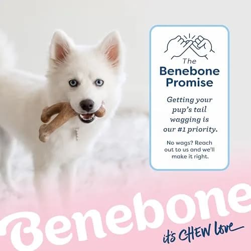 Benebone Puppy Wishbone Dog Chew Toy with Real Bacon Flavor, Medium | Durable Nylon Chew for Gentle Chewers thumbnail 6