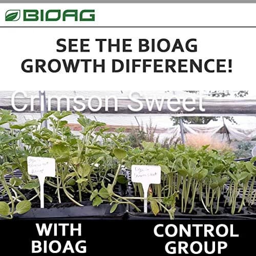 BioAg Ful-Humix Organic Humic Acid Soil Dry Amendment | Increases Yield & Nutrient Uptake (1 kg) thumbnail 4