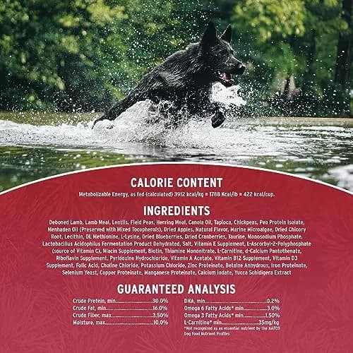 Annamaet Grain-Free Manitok Red Meat Formula Dry Dog Food, 12lb | Fresh Lamb, Potato-Free, Supports All Life Stages thumbnail 4