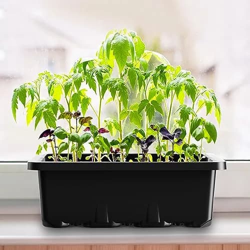 MIXC 10 Pack Seed Starter Tray with Humidity Dome & 120 Cells | 18.5cm x 12.2cm x 11.2cm (7.3" x 4.8" x 4.4") thumbnail 7