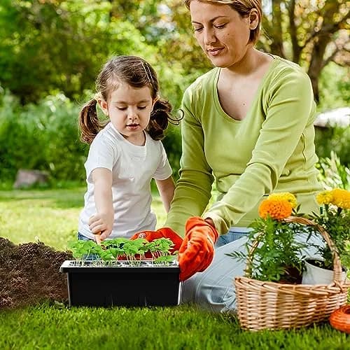 MIXC 10 Pack Seed Starter Tray with Humidity Dome & 120 Cells | 18.5cm x 12.2cm x 11.2cm (7.3" x 4.8" x 4.4") thumbnail 8