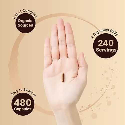 NatureBell 2 Pack Ceylon Cinnamon with Bitter Melon | Organic Sri Lanka & India Blend, 240 Capsules thumbnail 4