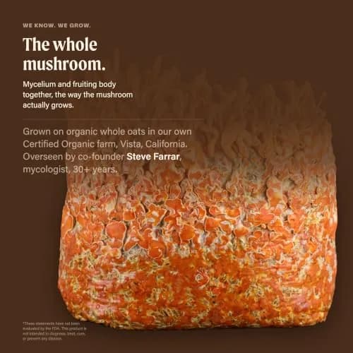 OM MUSHROOM SUPERFOOD Master Blend Mushroom Capsules thumbnail 4