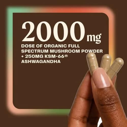 OM MUSHROOM SUPERFOOD Master Blend Mushroom Capsules thumbnail 5