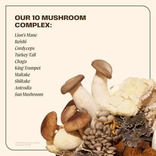 OM MUSHROOM SUPERFOOD Master Blend Mushroom Capsules thumbnail 3