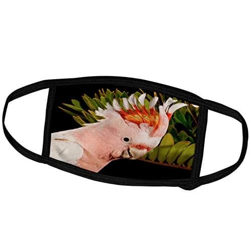 3dRose Major Mitchells Cockatoo Face Mask 6.3x4.0-inch | Custom Australia Bird Design, Reusable & Breathable thumbnail 1
