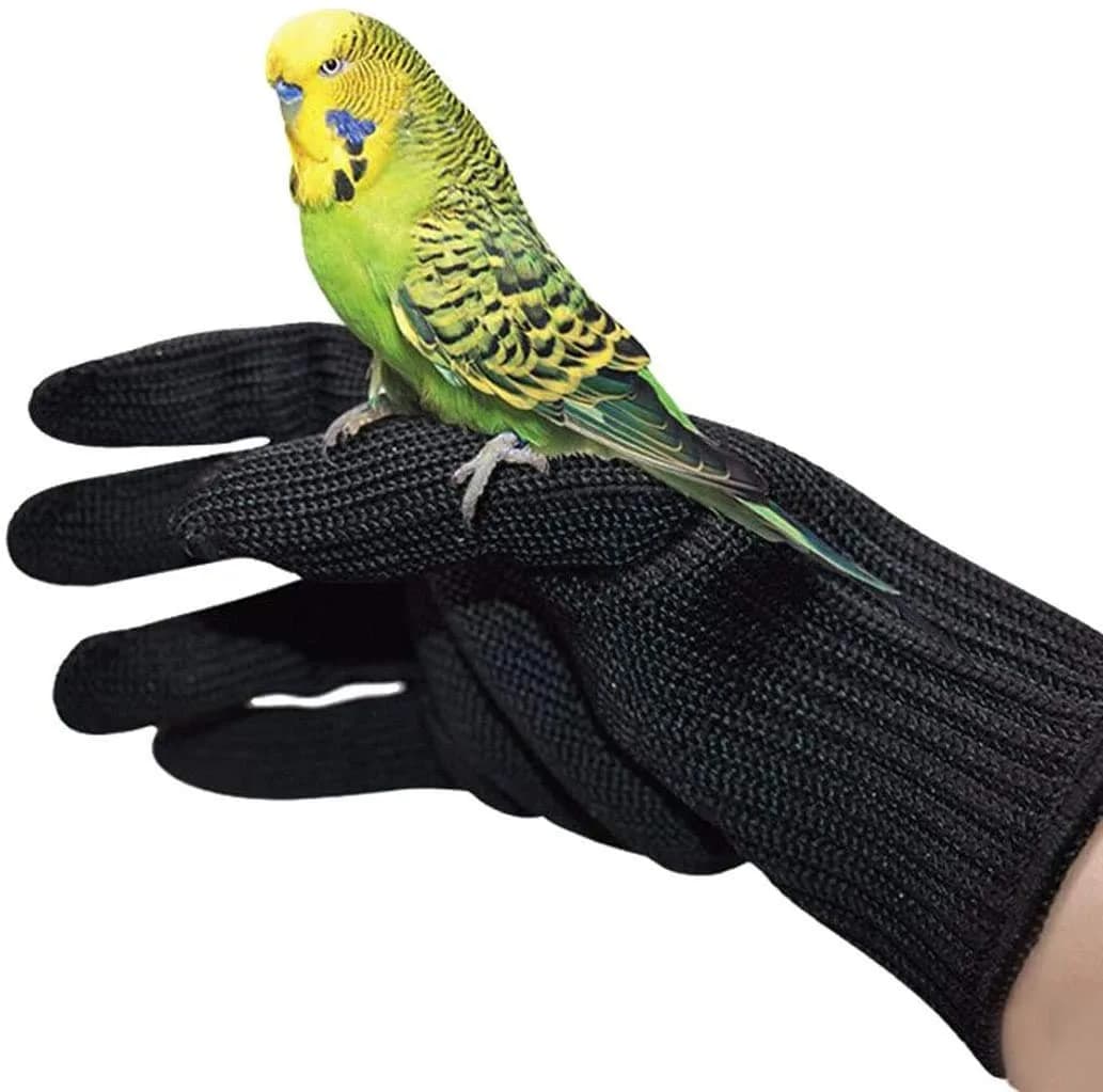 alfyng Bird Training Anti-Bite Gloves, Small Animal Handling Gloves, Chewing Protective Gloves for Small Animal Pet Squirrels Hamster Parrotlets Cockatiels Finch Macaw (1 Pair, Black) - main product image