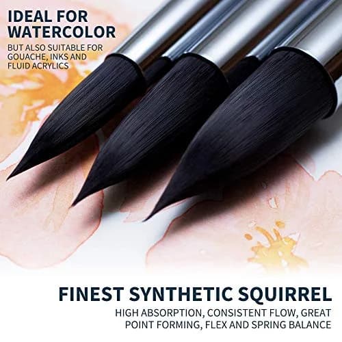 ARTEGRIA Watercolor Brush Set, 10 Soft Synthetic Squirrel Brushes with Dagger, Oval Wash, Flats & Rounds | Professional Grade, Pointed Rounds, Flats, Dagger and Oval Wash (Cat's Tongue) thumbnail 5