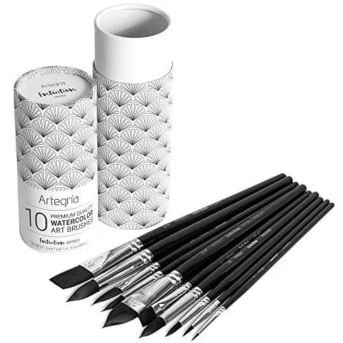 ARTEGRIA Watercolor Brush Set, 10 Soft Synthetic Squirrel Brushes with Dagger, Oval Wash, Flats & Rounds | Professional Grade, Pointed Rounds, Flats, Dagger and Oval Wash (Cat's Tongue) thumbnail 8