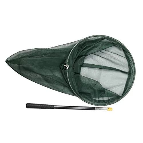 RESTCLOUD Professional Insect and Butterfly Net, 14" Ring, 59" Handle, Green | Extendable Bug Catching Tool thumbnail 4