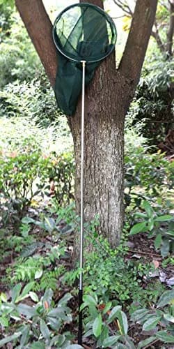 RESTCLOUD Professional Insect and Butterfly Net, 14" Ring, 59" Handle, Green | Extendable Bug Catching Tool thumbnail 6