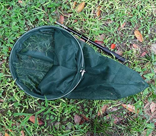 RESTCLOUD Professional Insect and Butterfly Net, 14" Ring, 59" Handle, Green | Extendable Bug Catching Tool thumbnail 7