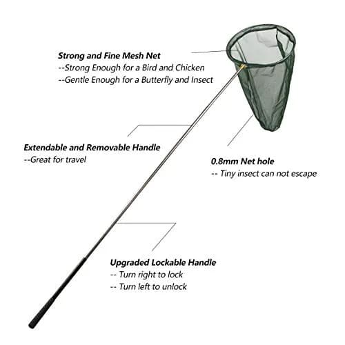 RESTCLOUD Professional Insect and Butterfly Net, 14" Ring, 59" Handle, Green | Extendable Bug Catching Tool thumbnail 3