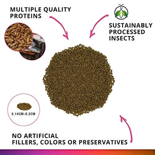 Fluval Bug Bites Color Enhancing Tropical Fish Food 2.27 kg (5 lb) | Insect-Based Granules for All Life Stages thumbnail 2