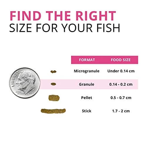 Fluval Bug Bites Color Enhancing Tropical Fish Food 2.27 kg (5 lb) | Insect-Based Granules for All Life Stages thumbnail 3