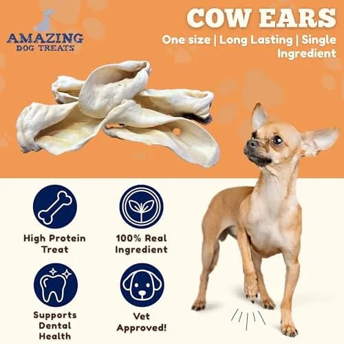 Amazing Dog Treats Cow Ears for Dogs 12 Pack | Natural, High Protein, All Natural Rawhide Alternative thumbnail 2