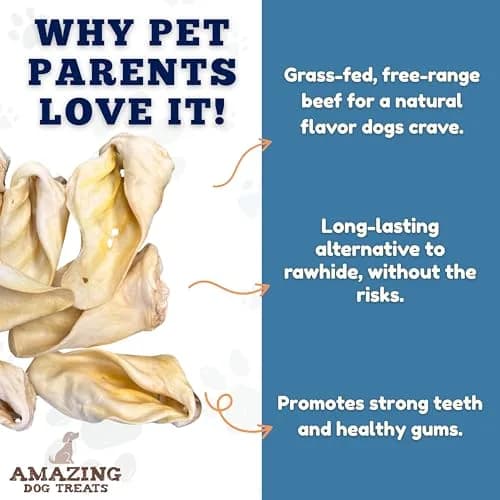 Amazing Dog Treats Cow Ears for Dogs 12 Pack | Natural, High Protein, All Natural Rawhide Alternative thumbnail 3