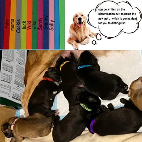 FEBSNOW Puppy Whelping Collars 30 Pcs - 15 Colors | Soft Newborn Pet ID Bands for Dogs & Kittens thumbnail 5