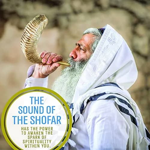 Holy Voice Kosher Ram Shofar Horn 35-40cm (14"-16") | Half Polished Traditional Jewish Musical Instrument thumbnail 6