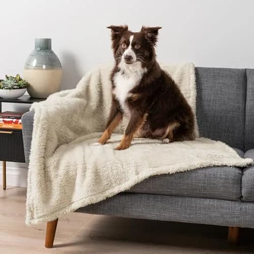 PetAmi Fluffy Sherpa Waterproof Dog Blanket 102x152 cm (40x60 inches) | Protects Furniture from Pet Messes thumbnail 1