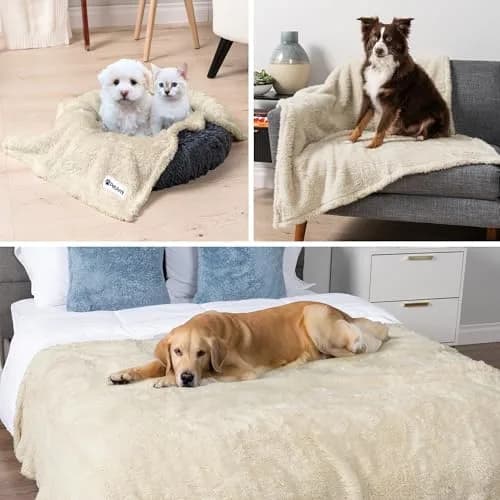 PetAmi Fluffy Sherpa Waterproof Dog Blanket 102x152 cm (40x60 inches) | Protects Furniture from Pet Messes thumbnail 7