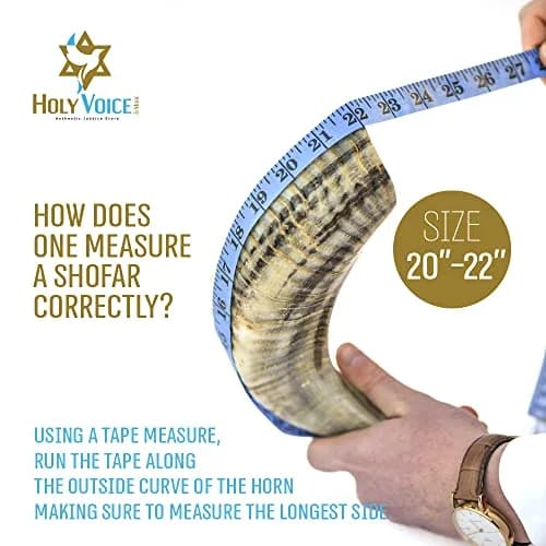 Holy Voice Kosher Ram Shofar Horn 50cm-55cm (20"-22") | Authentic Jewish Musical Instrument from Israel thumbnail 5