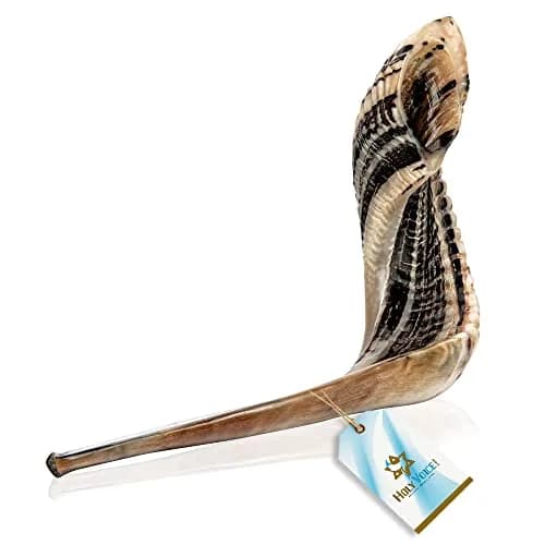 Holy Voice Kosher Ram Shofar Horn 55-60cm (22"-24") | Authentic Jewish Musical Instrument thumbnail 8