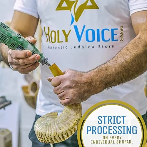 Holy Voice Kosher Ram Shofar Horn 55-60cm (22"-24") | Authentic Jewish Musical Instrument thumbnail 2