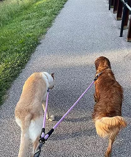 Mycicy Heavy Duty Double Dog Leash Coupler for Two Large Dogs | Tangle-Free 33" Extension thumbnail 9