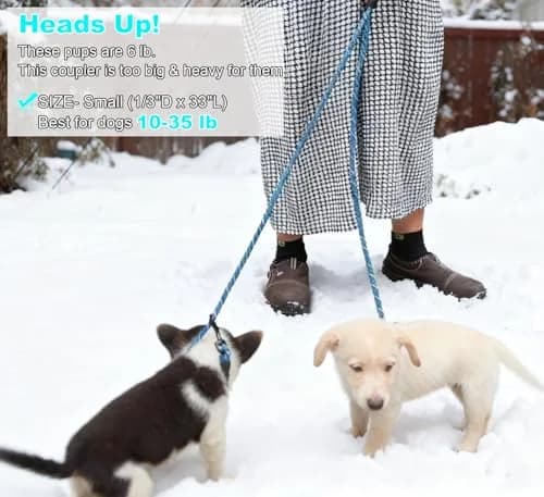 Mycicy Double Dog Leash Coupler 1/3" (0.84cm) x 33" (83.82cm) | Tangle-Free Dual Dog Lead Splitter for Small-Medium Dogs thumbnail 5