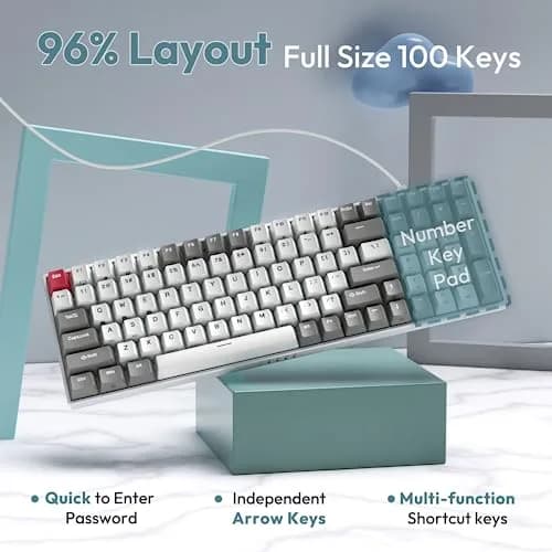 RK ROYAL KLUDGE RK100 Wireless Mechanical Keyboard RGB Backlit Bluetooth5.1/2.4G/Wired 96% Full Size 100-Key Hot Swappable Brown Switch Classic | Gaming Keyboard with Custom RGB thumbnail 4