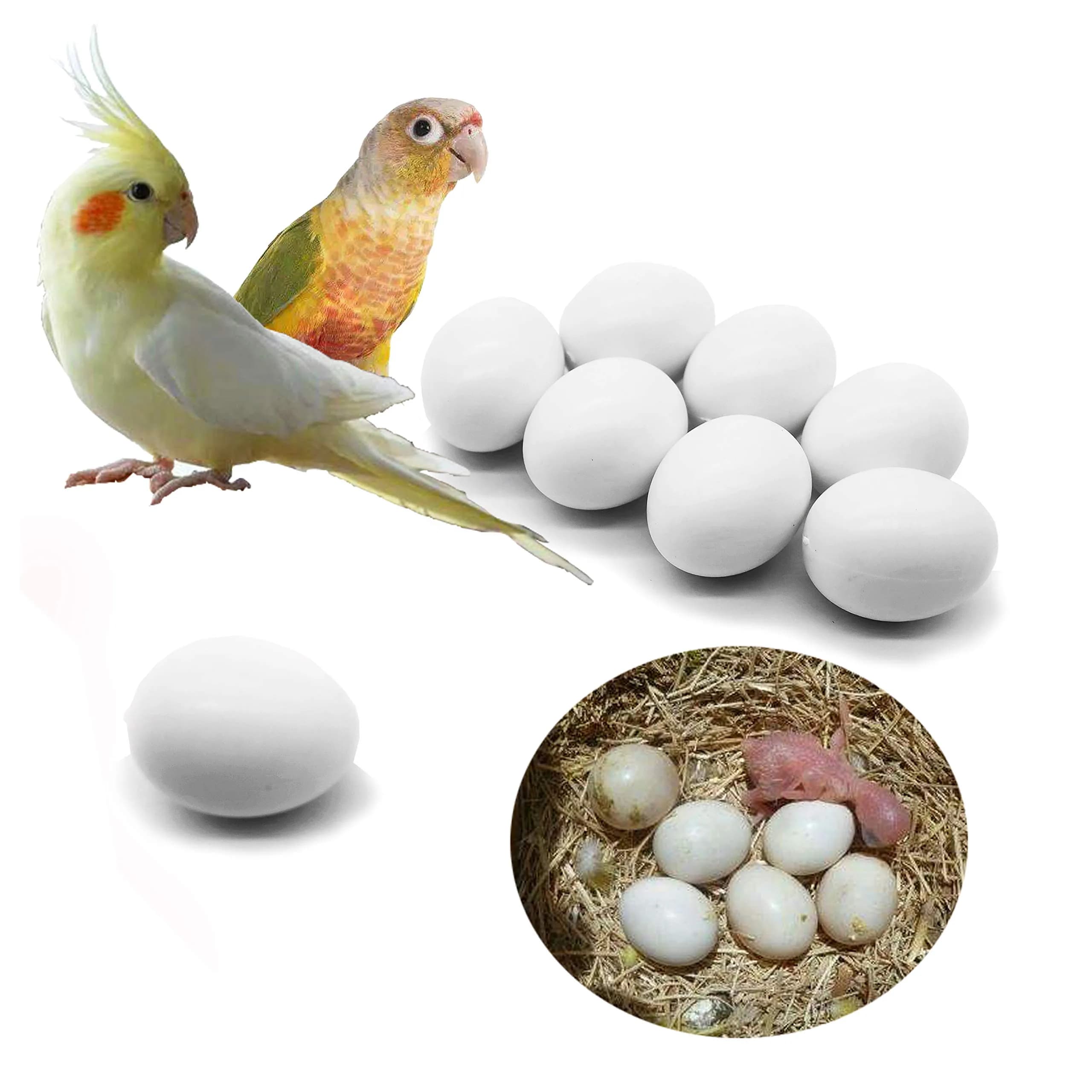 FOIBURELY Solid Parrot Plastic Eggs 8 Pcs | 26mm (1") x 21mm (0.83") - main product image