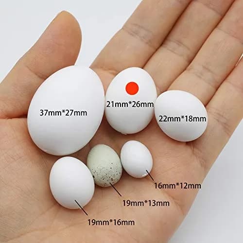 FOIBURELY Solid Parrot Plastic Eggs 8 Pcs | 26mm (1") x 21mm (0.83") thumbnail 4