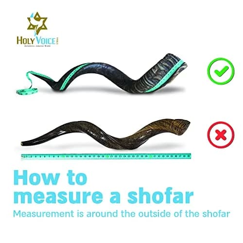 Holy Voice Kosher Kudu Shofar Horn 32"-36" | Traditional Half-Polished Yemenite Shofar Set thumbnail 4