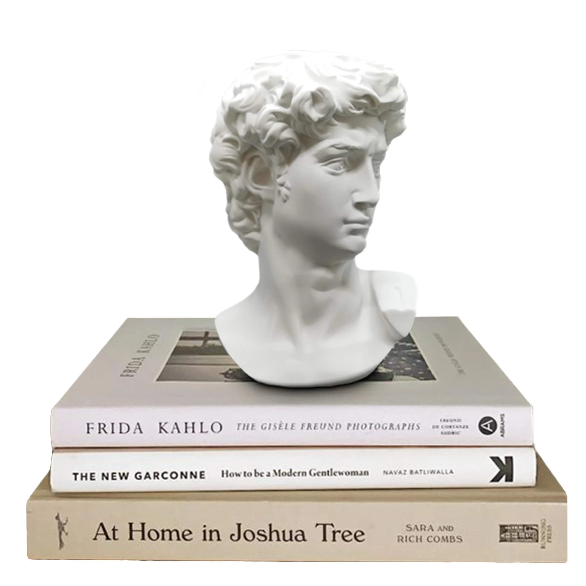 Banhey Greek Statue of David - Head Bust for Mythology and Roman Home Decor | 6-inch White Resin Bust - main product image