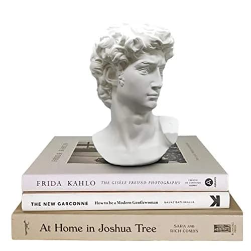 Banhey Greek Statue of David - Head Bust for Mythology and Roman Home Decor | 6-inch White Resin Bust thumbnail 1
