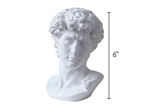 Banhey Greek Statue of David - Head Bust for Mythology and Roman Home Decor | 6-inch White Resin Bust thumbnail 7