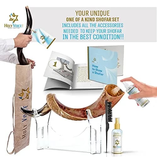 Holy Voice Kosher Kudu Shofar 28"-32" Horn from Israel | Traditional Half-Polished Yemenite thumbnail 3