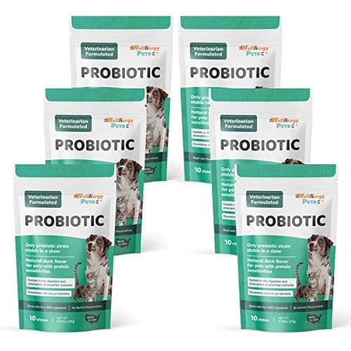 Wellnergy Daily Probiotic & Prebiotics Soft Chew for Dogs & Cats | Digestive & Immune Support (70-120c) thumbnail 1