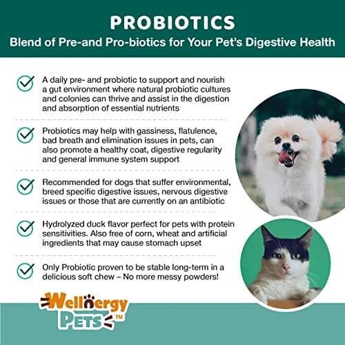 Wellnergy Daily Probiotic & Prebiotics Soft Chew for Dogs & Cats | Digestive & Immune Support (70-120c) thumbnail 4