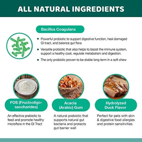 Wellnergy Daily Probiotic & Prebiotics Soft Chew for Dogs & Cats | Digestive & Immune Support (70-120c) thumbnail 5