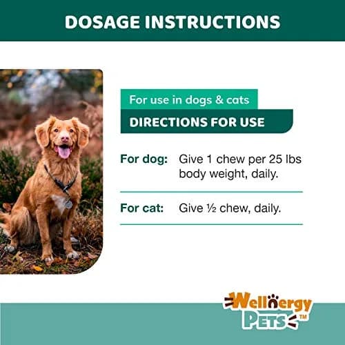 Wellnergy Daily Probiotic & Prebiotics Soft Chew for Dogs & Cats | Digestive & Immune Support (70-120c) thumbnail 6