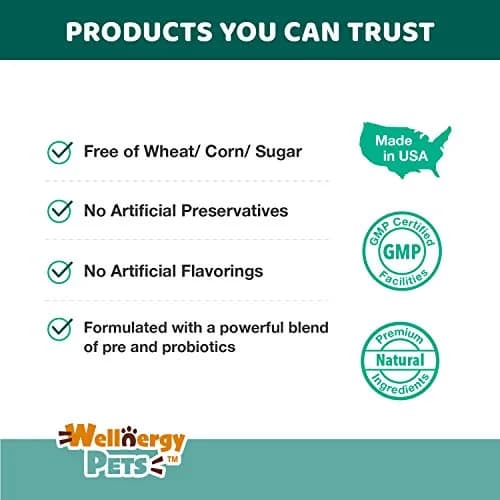 Wellnergy Daily Probiotic & Prebiotics Soft Chew for Dogs & Cats | Digestive & Immune Support (70-120c) thumbnail 7