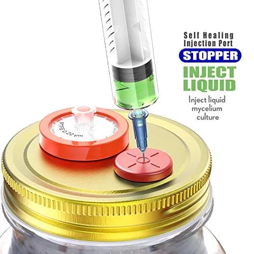 Biomed Solutions Self Healing Injection Ports 20mm Red | Reusable, Lab & Mushroom Use thumbnail 4